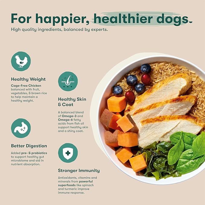 Jinx Premium Dry Dog Food Bundle for Puppies - 4lb Puppy Kibble (2 Pack)