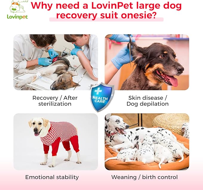 LovinPet Dog Recovery Suit for Large Medium Dogs - Cut-Out Design of Abdomen Recover Comfortably Well Protection Pet Onesie Suit Pet Pajamas Dog Anti Licking Bodysuit,Red Wave Pattern,M