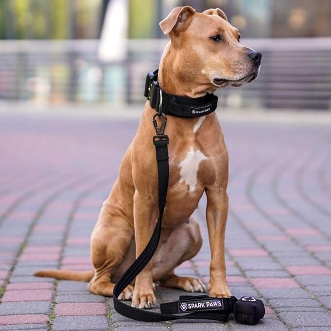Spark Paws Premium Dog Leash & Poop Bag Set - Heavy-Duty Alloy Hook for Strong Pulling Breeds - Comfortable, Durable & Secure - Lime Wave