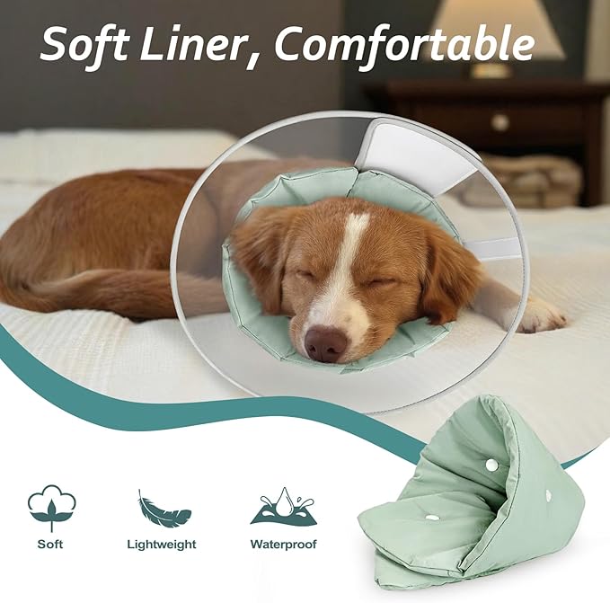 Dog Cone Collar with Snap-on Detachable Soft Liner, Lightweight Transparent Elizabethan Alternative to Stop Licking, for Spay Neuter Surgery Recovery, for Medium Large Small Dogs (Green,L)