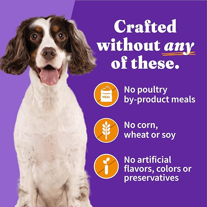 Halo Wet Dog Food Whole Chicken Stew Recipe, Healthy Grains Real Meat Canned Dog Food, Meal or Topper, 5.5 Oz Can (Pack of 12)