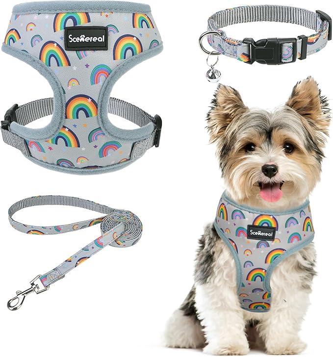 SCENEREAL Small Dog Harness Collar and Leash Set, Adjustable No Pull Pet Harnesses, No Chock Soft Mesh Vest for Doggie Puppy Medium Dogs Cats Girl or Boy,Chihuahua, Yorkie, Outdoor Walking