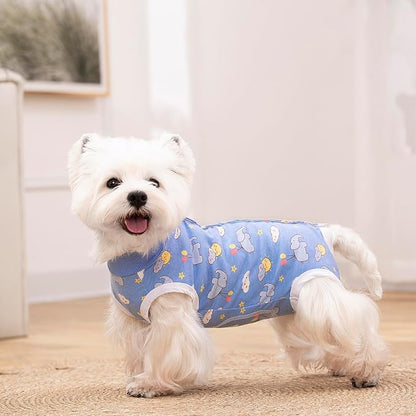 2 Packs Pet Dog Recovery Onesie Suit for Dogs Cats After Surgery,Dog Abdominal Wounds Bandages Cone E-Collar Alternative. (Blue, M)