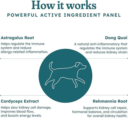 PetHeal Kidney Guard Chews for Dogs - Vet-Reviewed - Supports Renal Health & Energy with Astragalus, Cordyceps, Dong Quai & Rehmannia | Promotes Kidney Function & Detox | 30 Soft Chews, Pork Flavor