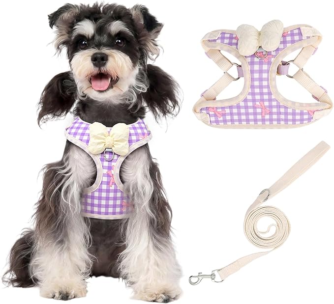 Coppthinktu Dog Harness for Small Sized Dogs, Puppy Cat Harness with Leash Set No Pull Dog Harness Adjustable Reflective Step-in Pet Vest Harnesses with Cute Bow Soft Padded Outdoor Walking