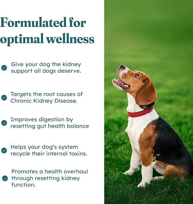 PetHeal Kidney Guard Chews for Dogs - Vet-Reviewed - Supports Renal Health & Energy with Astragalus, Cordyceps, Dong Quai & Rehmannia | Promotes Kidney Function & Detox | 30 Soft Chews, Pork Flavor