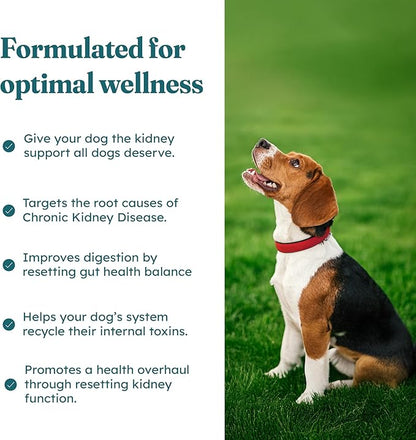 PetHeal Kidney Guard Chews for Dogs - Vet-Reviewed - Supports Renal Health & Energy with Astragalus, Cordyceps, Dong Quai & Rehmannia | Promotes Kidney Function & Detox | 30 Soft Chews, Pork Flavor