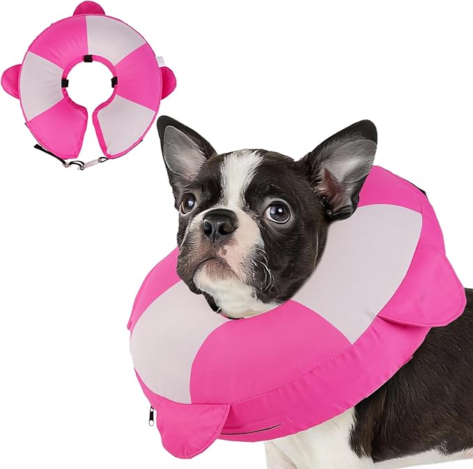 MIGOHI Dog Cone Collar Alternative for Small Dogs - Soft Recovery Donut E-Collar After Neuter Surgery, Pet Neck Protect to Stop Licking and Biting,Spay & Neuter,Not Block Vision(M,Rosepink)