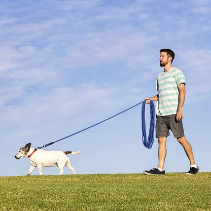 Long Dog Leash for Training 15Ft-Reflective Nylon Rope with Swivel Hook-Recall Agility Lead for Large Small Medium Dogs Outside Walking Hiking-Royal Blue
