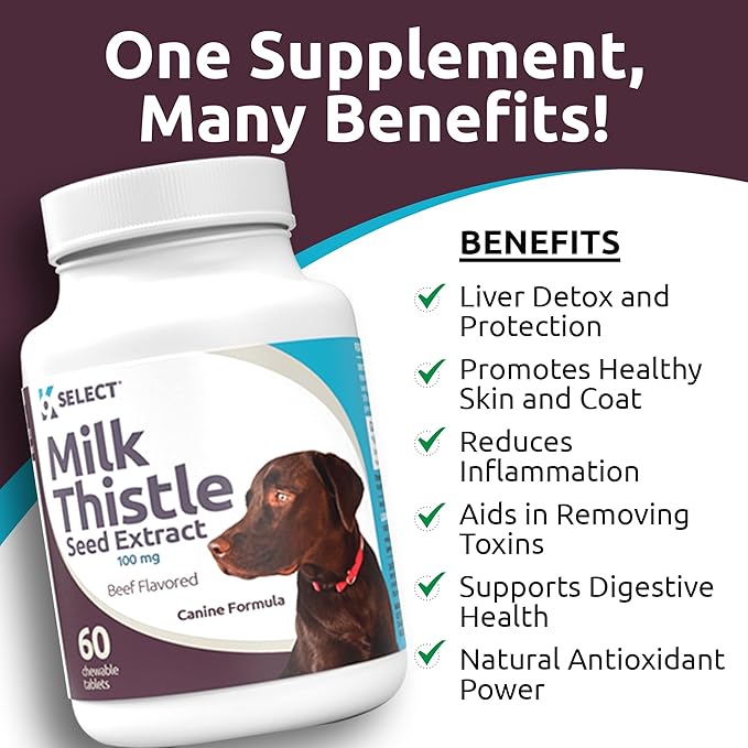Milk Thistle Dog Liver Supplement 100mg | Liver Support & Detox for Dogs | 60 Beef Flavored Tablets | Canine Liver Health Formula | Natural Milk Thistle for Dogs Liver Support