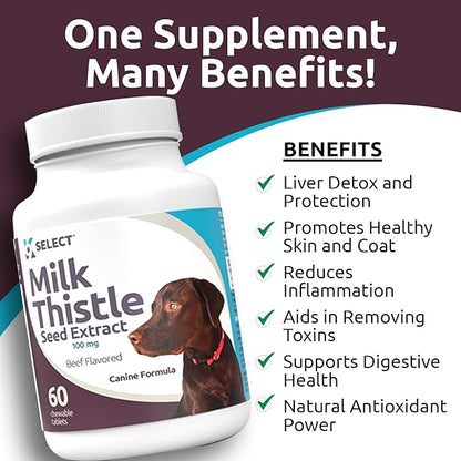 Milk Thistle Dog Liver Supplement 100mg | Liver Support & Detox for Dogs | 60 Beef Flavored Tablets | Canine Liver Health Formula | Natural Milk Thistle for Dogs Liver Support