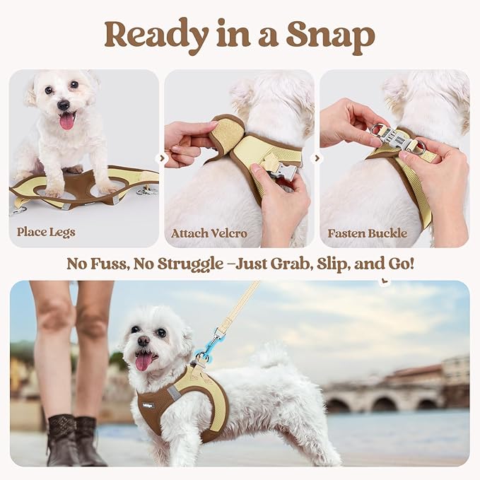 rabbitgoo Dog Harness Small Medium Sized and Leash Set, Step in Soft Light Puppy Vest, Breathable Mesh Pet Harness, Reflective for Safe Easy Walking, Brown & Beige L