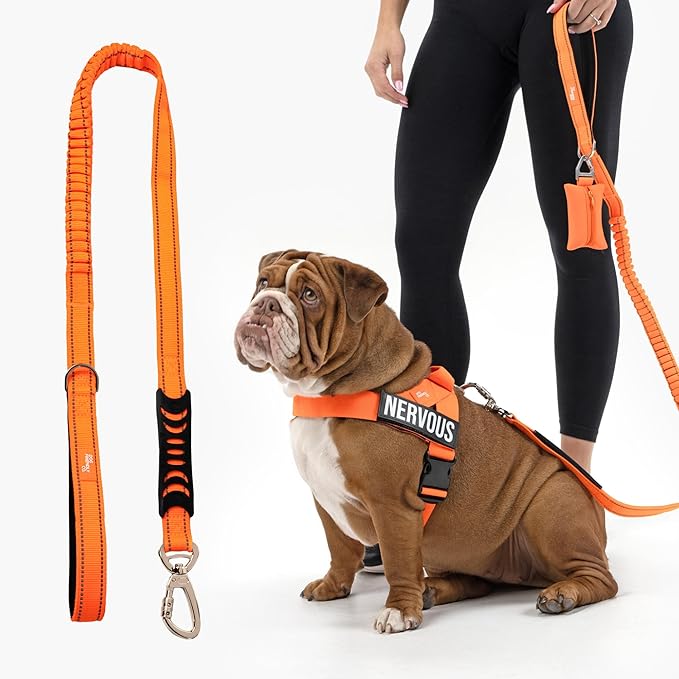 Dog Friendly Co. Bungee Dog Leash | Strain Free & Shock Resistant for Control | Neoprene Padded Handle, Heavy-Duty Carabiner Clip, and D-Ring | Hi-Vis Orange, Size Regular