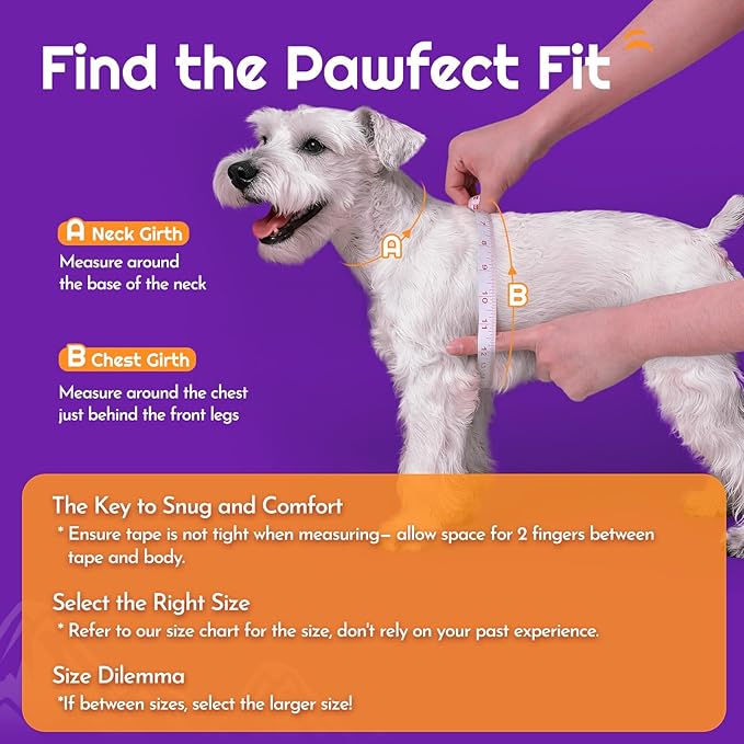 Eagloo Small Dog Harness and Leash Set, Step in Puppy Vest with Breathable Soft Mesh, Walking Reflective Pet Harness for Small Dogs, Purple, L