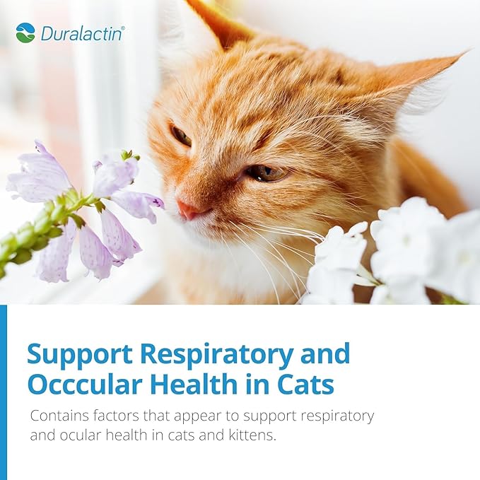 PRN Pharmacal Duralactin Feline L-Lysine Paste - Supports Joint, Respiratory & Eye Health Supplement for Cats - Paste Formula - 1 fl oz (3 Pack)
