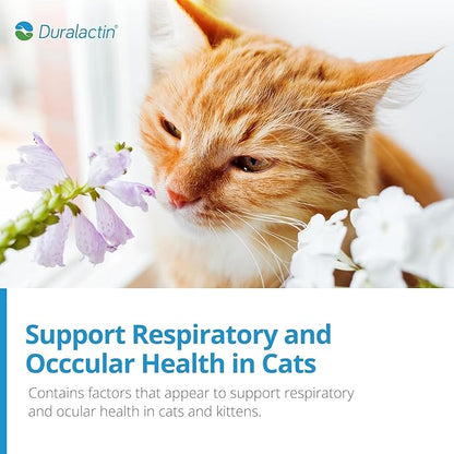 PRN Pharmacal Duralactin Feline L-Lysine Paste - Supports Joint, Respiratory & Eye Health Supplement for Cats - Paste Formula - 1 fl oz (3 Pack)