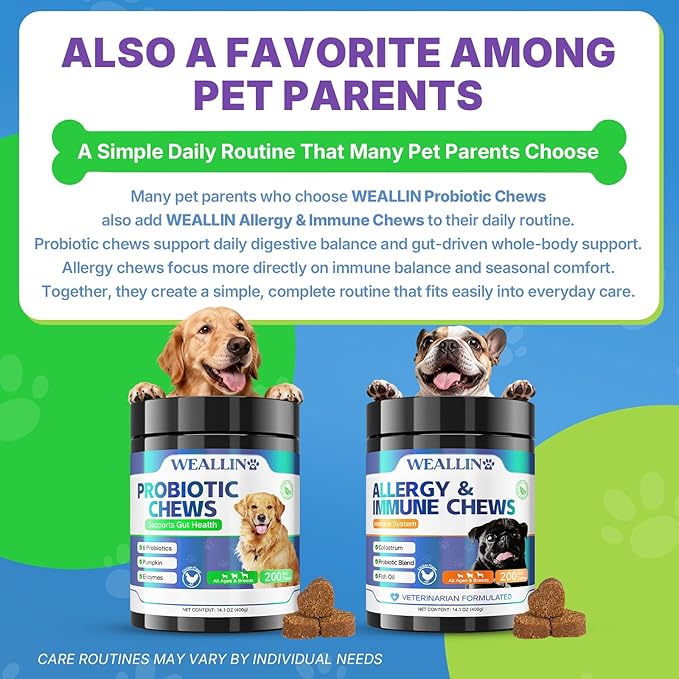 200 PCS Probiotics for Dogs - Dog Probiotic Chews for Gut Health, Digestive Support & Itchy Skin Relief Pet Diarrhea Gas Treatment - Probiotics, Digestive Enzymes, Prebiotics, Pumpkin