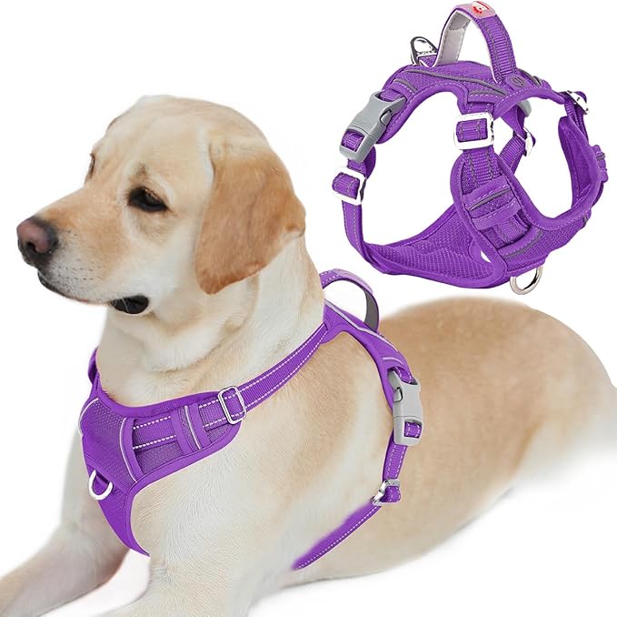 BARKBAY Dog Harness No Pull with ID Tag Pocket - Heavy Duty, Reflective, Easy Control for Large Dogs(Purple,L)