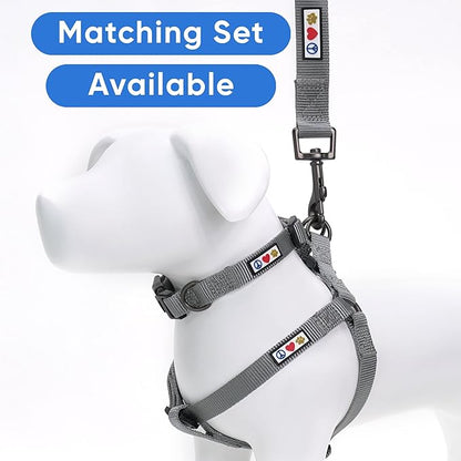 Pawtitas Solid 6 ft Grey Dog Leash M/L Custom Name and Phone Embroidery Strong Nylon Leash for Medium and Large Breeds