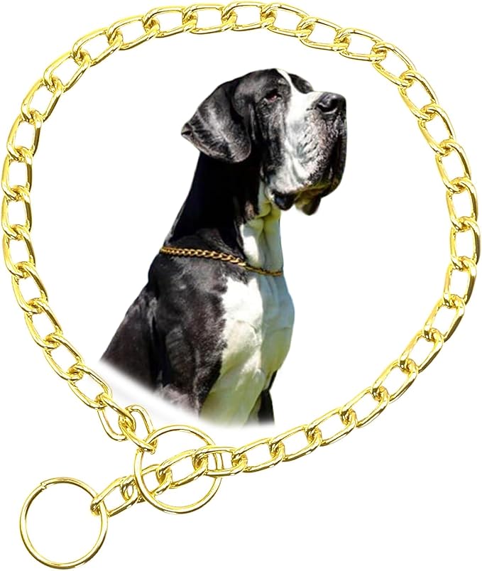 Gold Dog Chain Collar, Metal Slip Link Heavy Duty Dog Collar Training Puppy Collars for XXS XS Small Medium Large Big XL Breed Dogs, S
