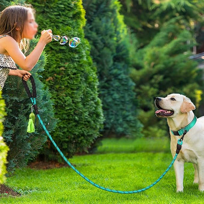 Dynmeow Reflective Dog Collar and Leash Set, 6FT Strong Climbing Rope Leash with Padded Handle, Adjustable Pet Collar with Soft Neoprene Padding for Large Dogs, Teal, L