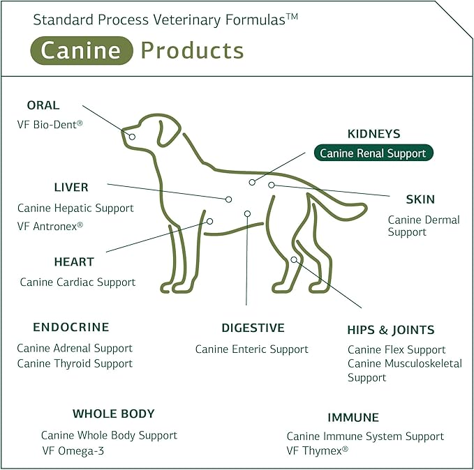 Standard Process Canine Renal Support - Dog Supplement for Kidney, Liver & Heart Health - Animal Supplement for Your Dog's Health - 3.9 oz (70 Servings)