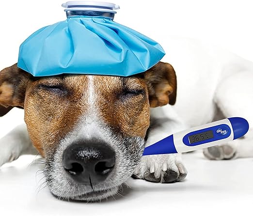 Pet Thermometer, Waterproof Digital Veterinary Thermometer Portable Pet Digital Thermometer Pet Thermometer with Reminder Function Thermometer for Dogs Cats Horse Cattle Pigs Sheep