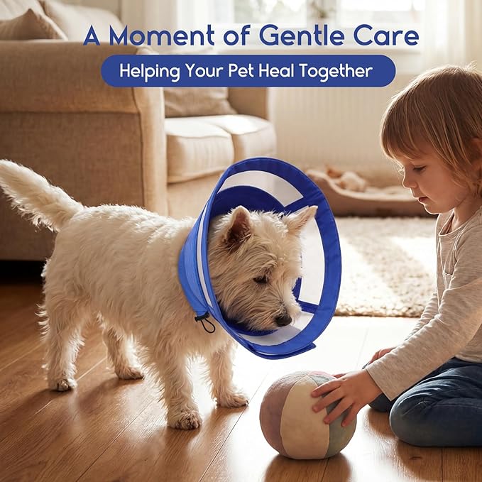 ASENKU Dog Cone Collar, Protective Recovery Dog Collar After Surgery, Comfy Adjustable Cone for Dogs to Stop Licking, Pet E-Collar for Small, Medium & Large Dogs(Blue, S)