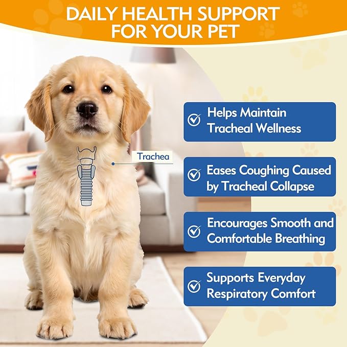 Yakucho Trachea Cough Elixir, 3.4 FL OZ Collapsed Trachea Treatment for Dogs Liquid, Herbal Cough Relief Drops with Skullcap, Helps Calm Dry Cough, Soothe Throat Irritation & Support Easier Breathing