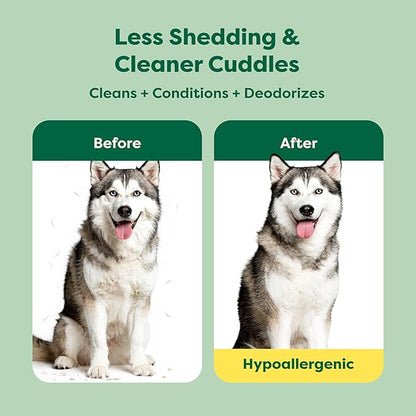 Earth Rated Deshedding Dog Shampoo, Hypoallergenic 3-in-1, Shampoo & Conditioner for Dogs & Puppies, Deodorizing, 98.5% Natural Origin Ingredients, 16 oz