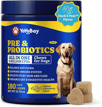 Probiotics for Dogs - Dog Probiotics for Gut, Immune & Skin Health - 6 Billion CFUs, 180 Soft Chews, Salmon & Blueberry Flavor - with Prebiotics & Digestive Enzymes