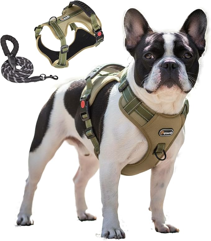 Tactical Dog Harness and Leash Set, No-Pull Adjustable Puppy Vest Collar with Handle, Dual Leash Clips, Reflective Oxford Chest Harnesses with Leashes for Small Dogs Pulling Support S Size