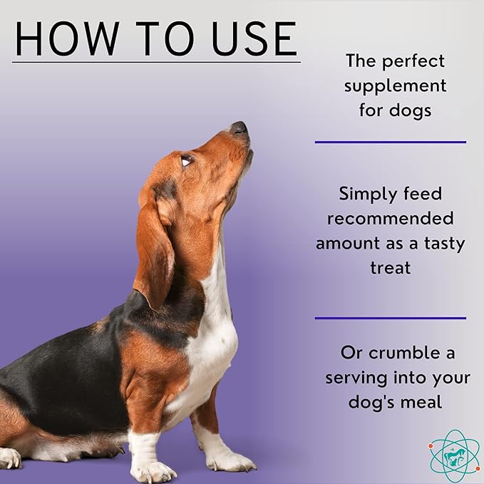 Bladder Strength Approx 55 Chews - Natural Dog UTI Treatment - Kidney Support for Dogs - Dog Cranberry Supplement - Senior Dog Incontinence Supplements - Made in The USA
