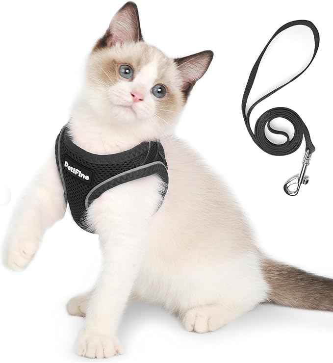 PetiFine Extra Small Step in Dog Harness and Leash Set, Cat Harness and Leash Escape Proof, All Weather Mesh Reflective, Step-in Air Vest Harnesses for Puppy(XXXS, Black)