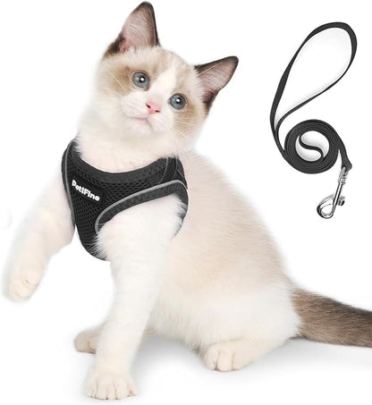 PetiFine Extra Small Step in Dog Harness and Leash Set, Cat Harness and Leash Escape Proof, All Weather Mesh Reflective, Step-in Air Vest Harnesses for Puppy(XXXS, Black)