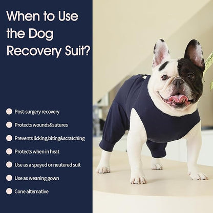 IECOii Dog Recovery Suit - Soft Surgical Onesie for Post-Surgery Dogs, Protects Abdominal and Rear Leg Wounds, Stops Licking, L-Blue