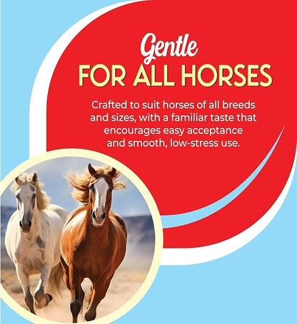 Ivermectin Paste 1.87% Only Use for Horses – Apple Flavor Oral Paste – 6.08g Syringe - Gel Dewormer for Horse - Safe for Equine of All Ages (1 - Pack)