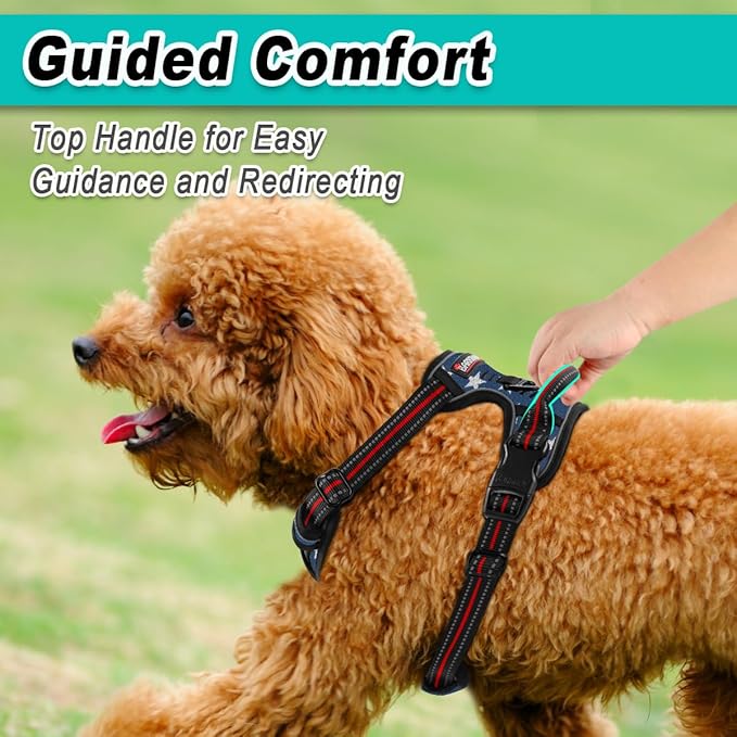 BARKBAY Dog Harness No Pull Mesh for Small Dogs - Adjustable, Reflective, Comfortable, No Choke, Heavy-Duty - Perfect for Outdoor Training, Walking, and Hiking - Strong & Durable- XS & Blue Star Mesh