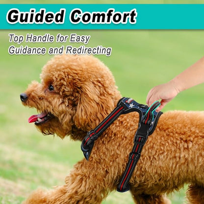 BARKBAY Dog Harness No Pull Mesh for Small Dogs - Adjustable, Reflective, Comfortable, No Choke, Heavy-Duty - Perfect for Outdoor Training, Walking, and Hiking - Strong & Durable- XS & Blue Star Mesh