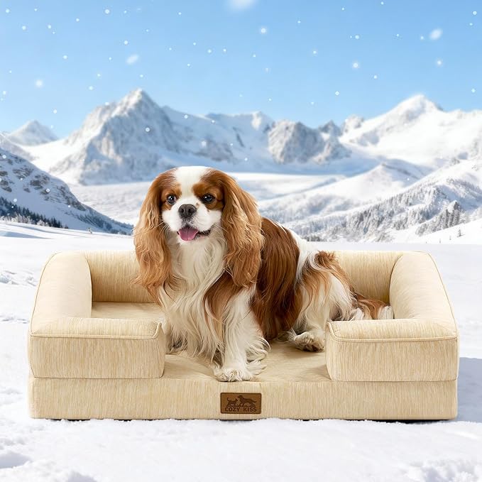 Cooling Dog Bed for Medium Small Size Dogs, Q-Max >0.4 Summer Cool Pet Bed, Orthopedic Foam Dog Sofa with Sides, Bolster Anti-Slip Couch with Washable Removable Cover, M 30x20x6 inch, Beige