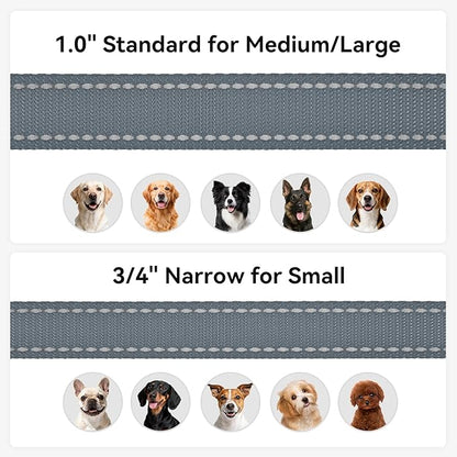 Joytale Dog Leash, 6 FT Double-Sided Reflective, Padded Handle Nylon Heavy Duty Leashes for Medium & Large Dogs Walking, Grey