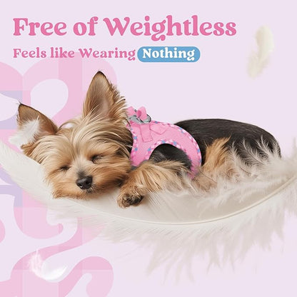 rabbitgoo Small Dog Harness, Step-in Soft Mesh Puppy Vest with Safety Buckle, Breathable Reflective Pet Harness for Small Sized Dogs, Pink & Plaid Trim S