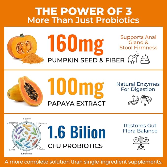 Dog Probiotics Soft Chews with 160mg Pumpkin & Papaya Enzymes – 90 Count – 4-in-1 Gut Support for Scooting Comfort, Stool Consistency & Occasional Gas – Chicken Liver Flavor