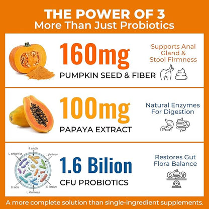 Dog Probiotics Soft Chews with 160mg Pumpkin & Papaya Enzymes – 90 Count – 4-in-1 Gut Support for Scooting Comfort, Stool Consistency & Occasional Gas – Chicken Liver Flavor