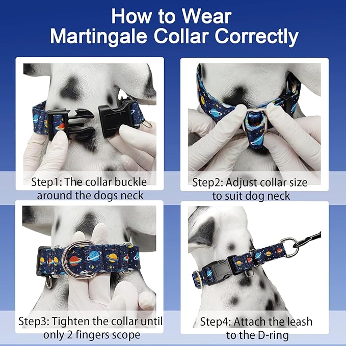 Martingale Dog Collars with Buckle No Slip Training Boy Dog Collar for Small Dogs (Blue Space, Small)