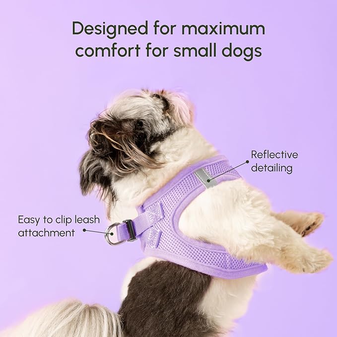 Downtown Pet Supply Step in Dog Harness for Large Dogs - Adjustable, Escape Proof Dog Harness with Reflective Trim - All-Weather, Fast-Drying Padded Mesh Fabric - Lilac, L