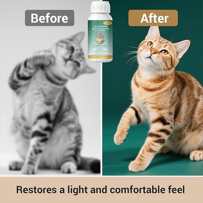 Broad Spectrum for Dewormer Cats – Pyrantel Pamoate Cat Dewormer Liquid for All Wormers for Tapeworms, Roundworms & Hookworms, 120 mL (4.2 fl oz)