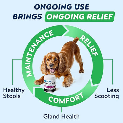 STRELLALAB Anal Gland Support Chews - Scoot Treatment - Digestive Enzymes, Prebiotics & Fiber Supplement for Dogs Digestion & Gut Health. Proprietary Blend of Beet, Psyllium, Dandelion & Pumpkin 120Ct