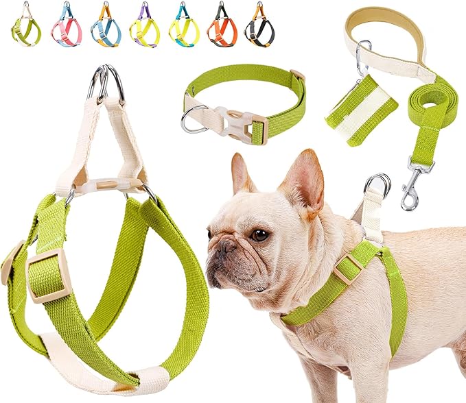No Pull Dog Harness and Leash Set, Callor, Step in Dog Halter Harness with Poop Bag Holder, Adjustable Lightweight Cotton Straps Suitable for Small Medium Large Dogs Outdoor Walking Running Hiking