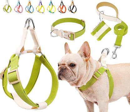 No Pull Dog Harness and Leash Set, Callor, Step in Dog Halter Harness with Poop Bag Holder, Adjustable Lightweight Cotton Straps Suitable for Small Medium Large Dogs Outdoor Walking Running Hiking